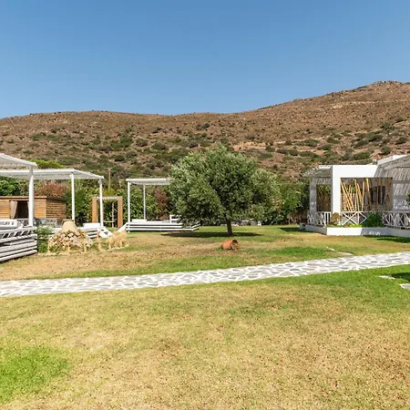 Ow Andros 1,private Whirlpool 4*