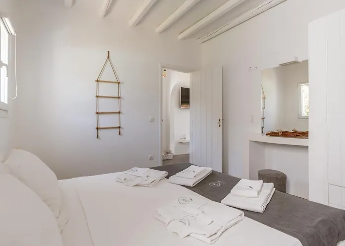 Ow Andros 1,private Whirlpool 4* Kato Fellos