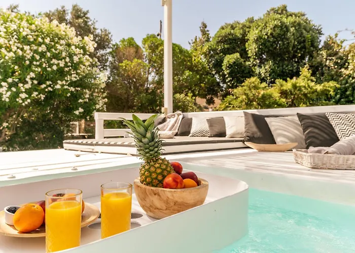 Ow Andros 1,private Whirlpool 4* Kato Fellos