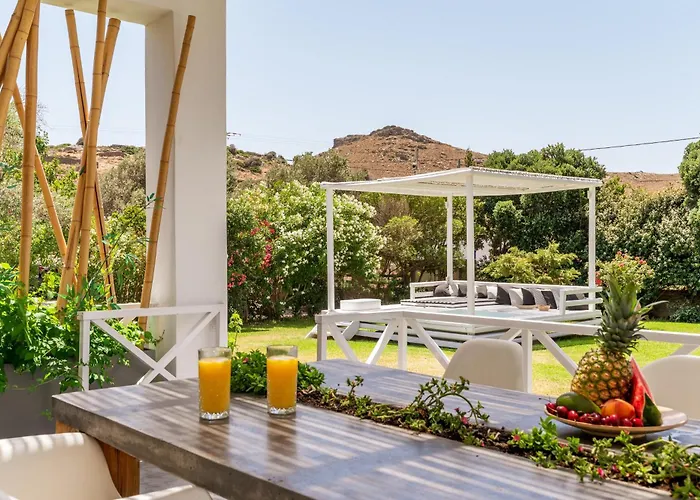 Ow Andros 1,private Whirlpool 4* Kato Fellos