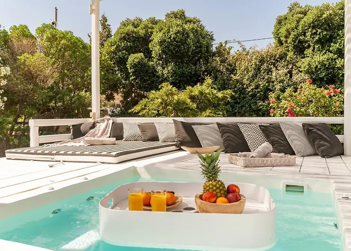 Ow Andros 1,private Whirlpool Aparthotel