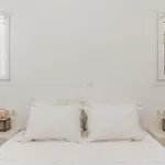 Ow Andros 1,private Whirlpool Kato Fellos