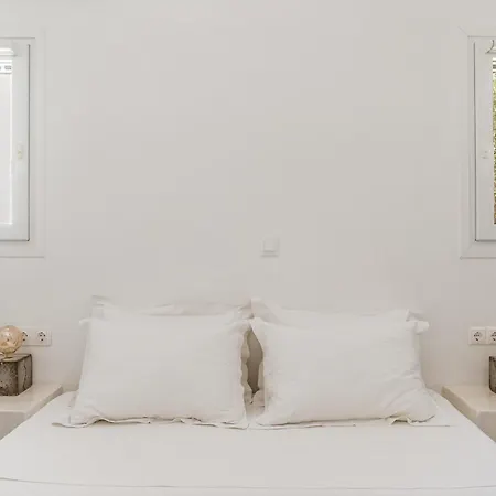 Ow Andros 1,private Whirlpool Kato Fellos