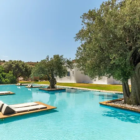 Ow Andros 1,private Whirlpool 4* Kato Fellos