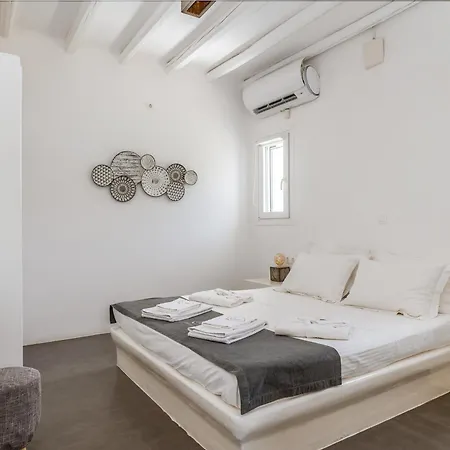Ow Andros 1,private Whirlpool Kato Fellos