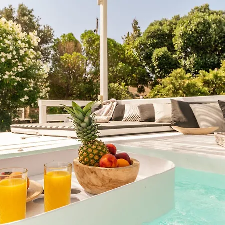 Aparthotel Ow Andros 1,private Whirlpool Kato Fellos